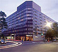 Cherry Blossom Festival - Holiday Inn Capitol